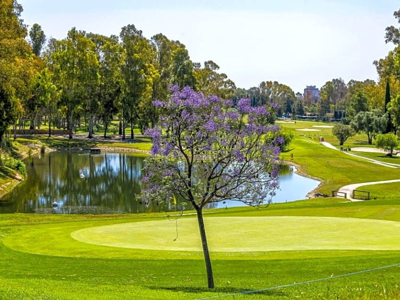 Atalaya_Golf_Course2.jpg