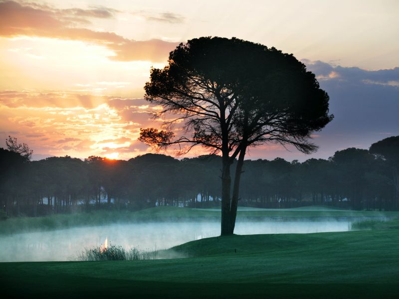 Montgomerie_Golf_Course_3.jpg